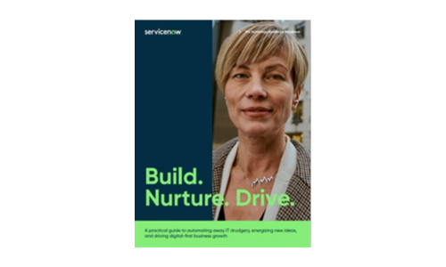 Build. Nurture. Drive. A practical guide to automating away IT drudgery, energizing new ideas, and driving digital-first business growth