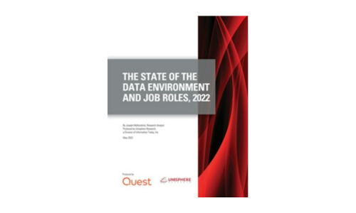 State of the Data Environment and Job Roles, 2022